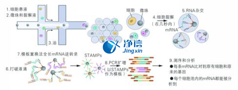 中國(guó)人自己的單細(xì)胞測(cè)序儀來(lái)了！,Drop-seq